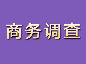 佛山商务调查